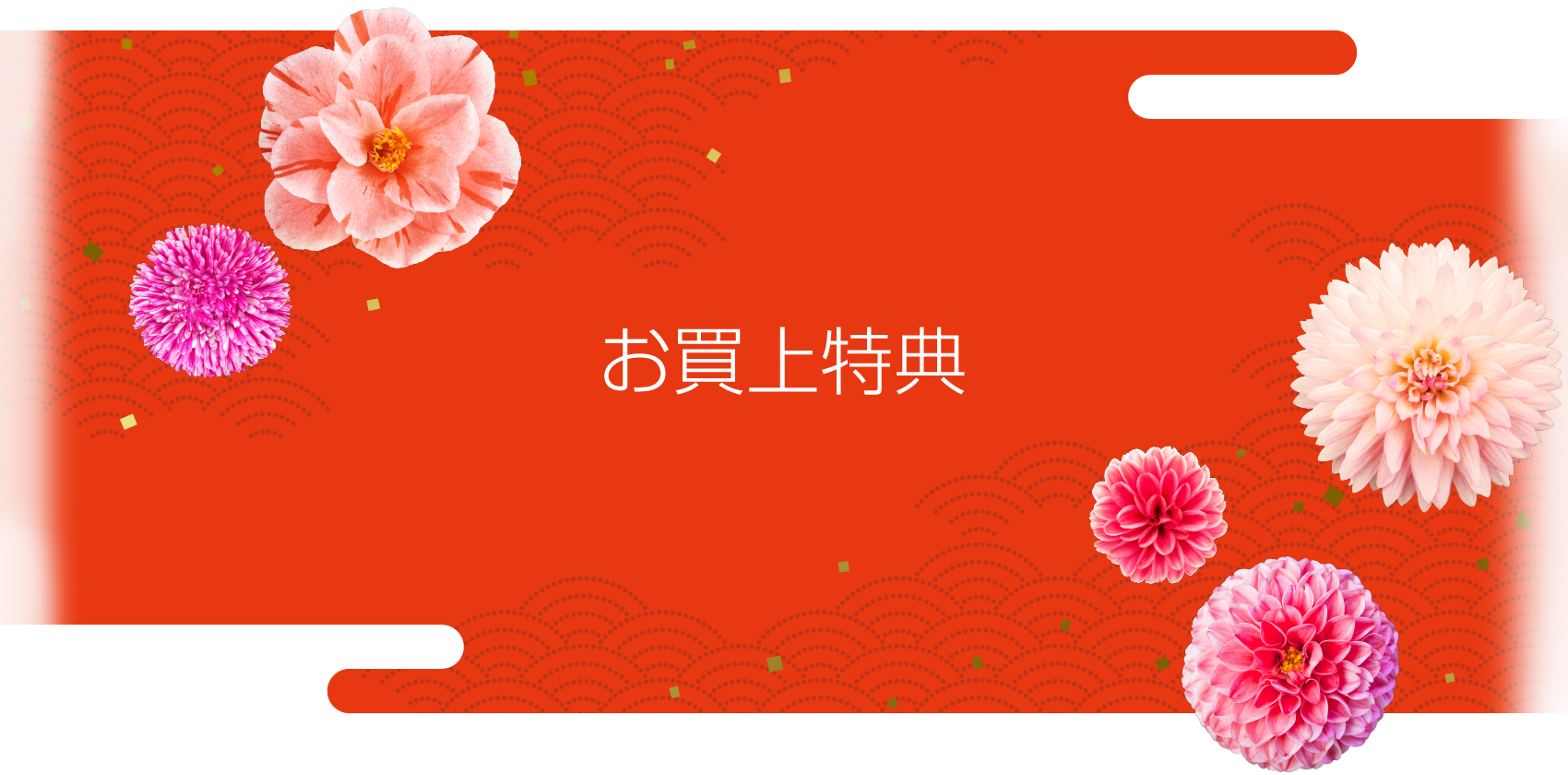 お買上特典